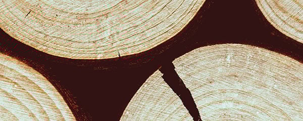 disruption concept logs split